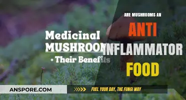 Mushrooms as Anti-Inflammatory Superfoods: Unlocking Their Healing Potential