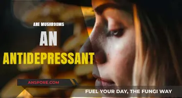Mushrooms: Nature's Antidepressant?