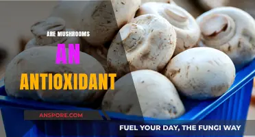 Mushrooms: A Natural Antioxidant Powerhouse