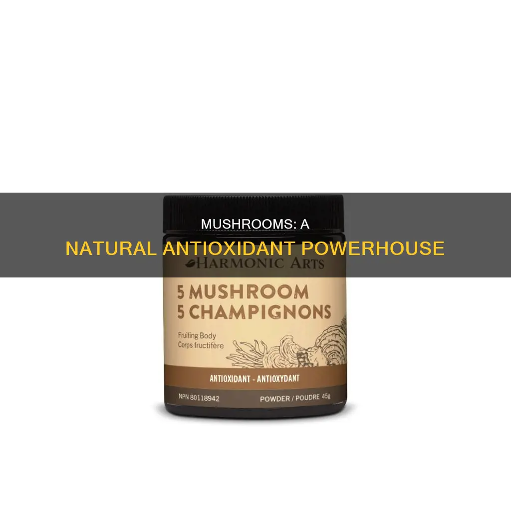 are mushrooms an antioxidant