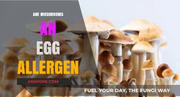 Mushrooms: A Surprising Egg Allergen?