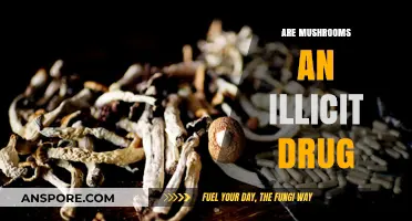 Mushrooms: A Drug or a Delicacy?