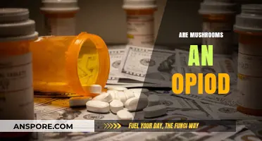 Mushrooms: Natural Opioids or Not?