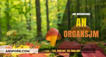 Mushrooms: Are They a Living Organism?