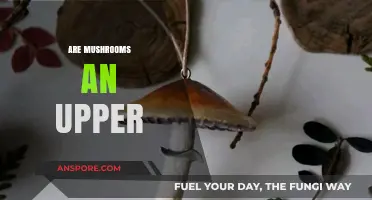 Mushrooms: A Natural Upper or Downer?