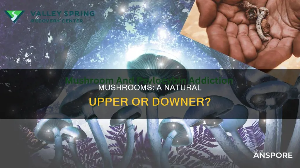 are mushrooms an upper