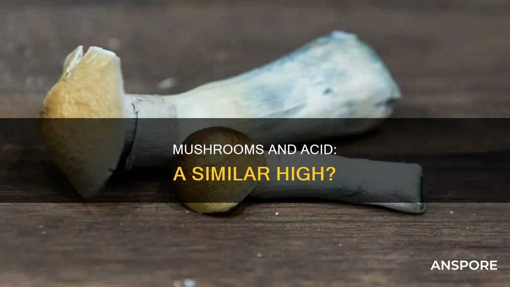 are mushrooms and acid similar
