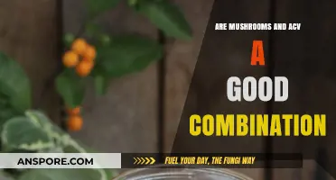 Mushrooms and ACV: Unlocking Health Benefits or a Myth?