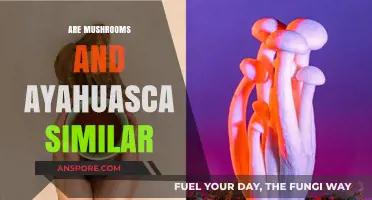 Mushrooms vs. Ayahuasca: Exploring Similarities and Differences