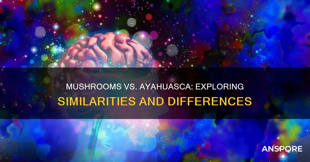 are mushrooms and ayahuasca similar