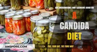 Mushrooms and Cashews: Candida Diet-Friendly or Not?