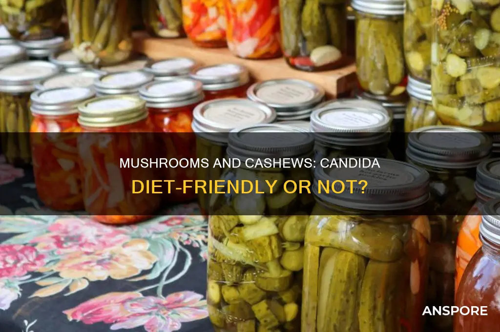 are mushrooms and cashews good on a candida diet