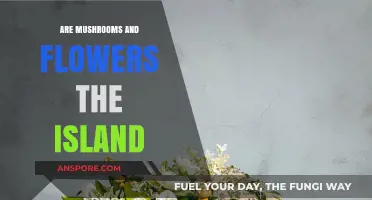 Mushrooms and Flowers: Unveiling Their Unique Island Ecosystem Secrets