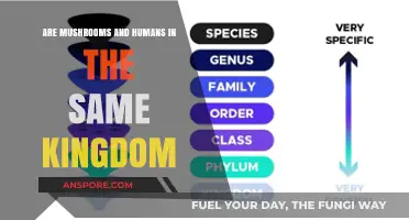 Mushrooms vs. Humans: Unveiling Their Kingdom Classification Mystery