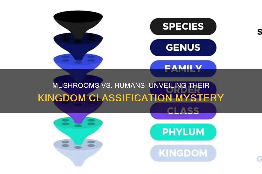 are mushrooms and humans in the same kingdom