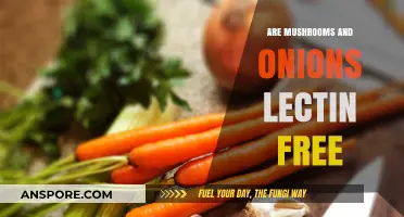 Mushrooms and Onions: Are They Lectin-Free and Safe to Eat?