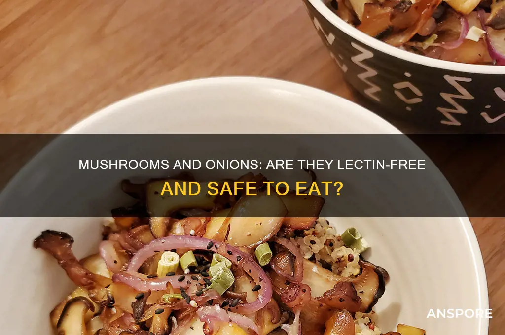 are mushrooms and onions lectin free