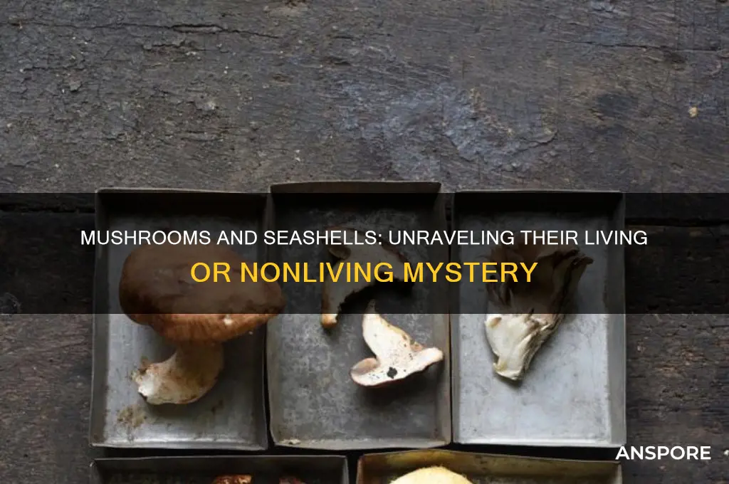 are mushrooms and seashells are living or nonliving