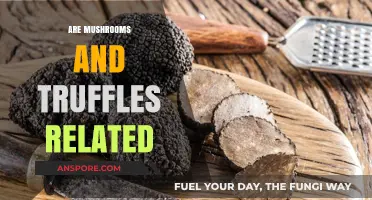 Mushrooms and Truffles: What's the Connection?