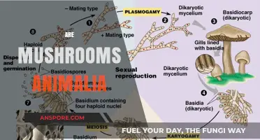 Mushrooms: Animal, Vegetable, or Mineral?