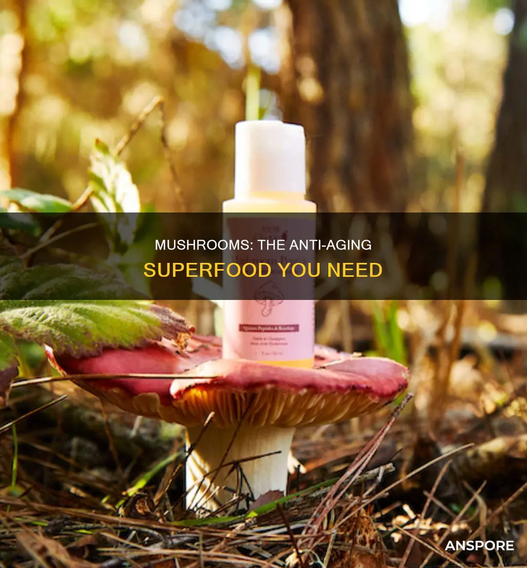 are mushrooms anti aging