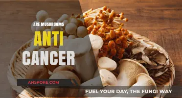 Mushrooms: Cancer-Fighting Superfood?