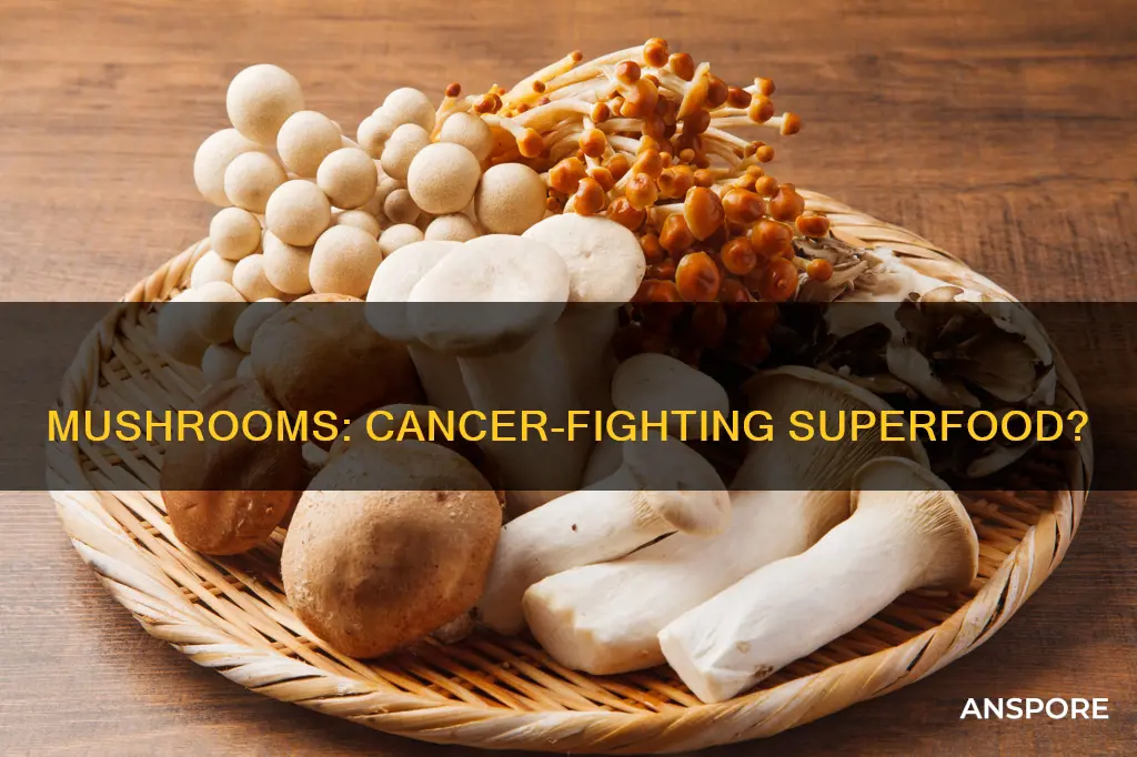 are mushrooms anti cancer