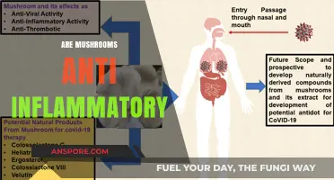 Mushrooms: Natural Anti-Inflammatory Superfood?