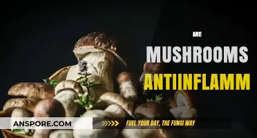 Mushrooms: Nature's Anti-inflammatory Superfood?