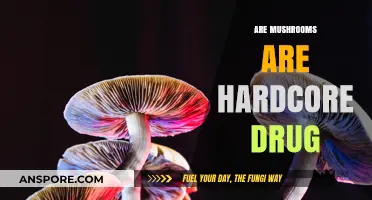 Mushrooms: A Hardcore Drug or Not?