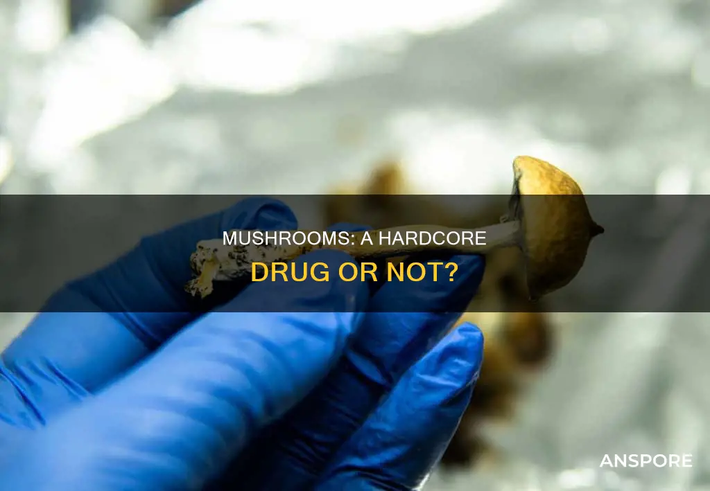 are mushrooms are hardcore drug