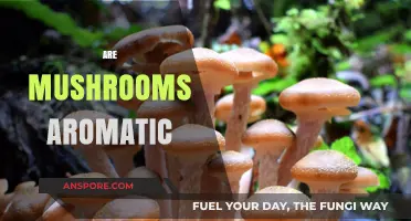 Mushrooms: Aromatic or Not?