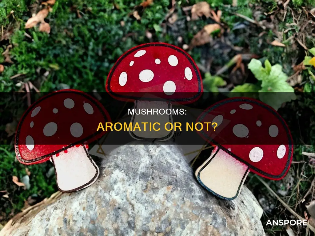 are mushrooms aromatic