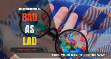 Mushrooms vs. Lad: Unraveling the Truth Behind the Myth