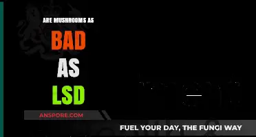 Mushrooms vs. LSD: Debunking Myths and Comparing Psychedelic Effects