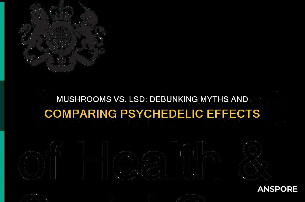 are mushrooms as bad as lsd