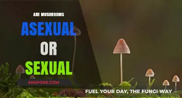 Mushrooms: Sexual or Asexual?