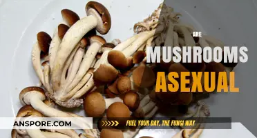 Mushrooms: An Asexual Wonder of Nature