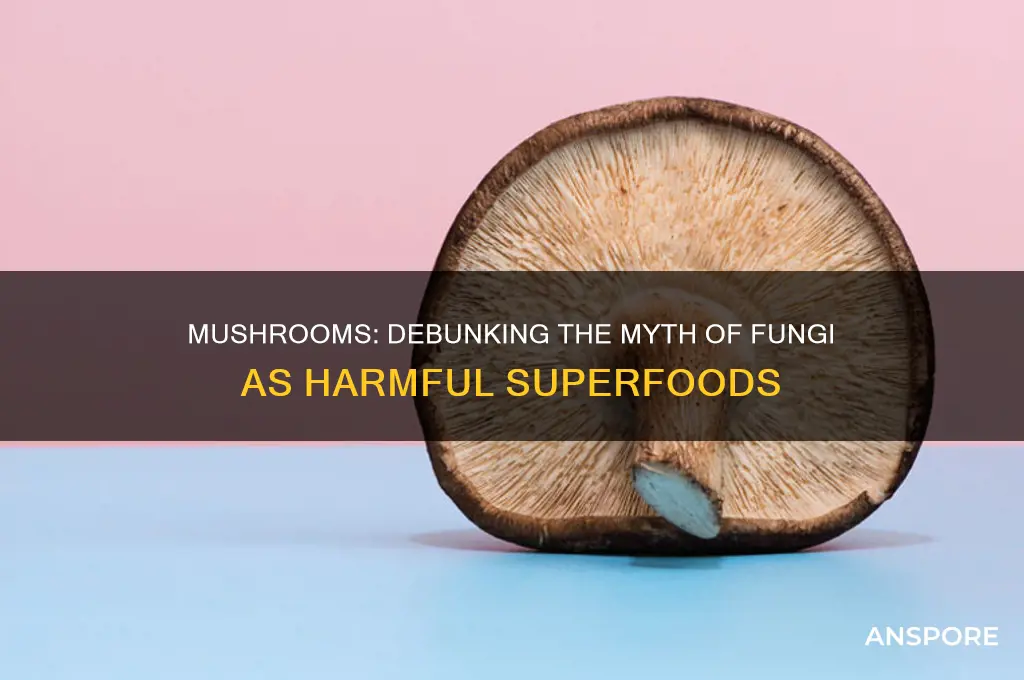 are mushrooms bad because they are fungi