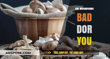 Are Mushrooms Bad for You? Unveiling the Truth About Fungal Health