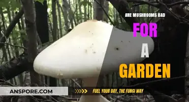 Mushrooms in Gardens: Friend or Foe? Unveiling Their Impact
