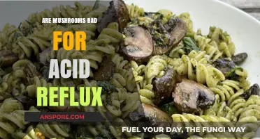 Mushrooms and Acid Reflux: Are They a Trigger or Safe?