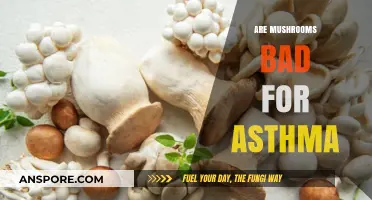 Mushrooms and Asthma: Unveiling the Truth Behind Their Impact
