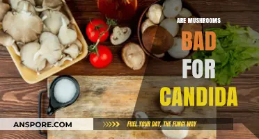 Mushrooms and Candida: Debunking Myths and Understanding Their Impact