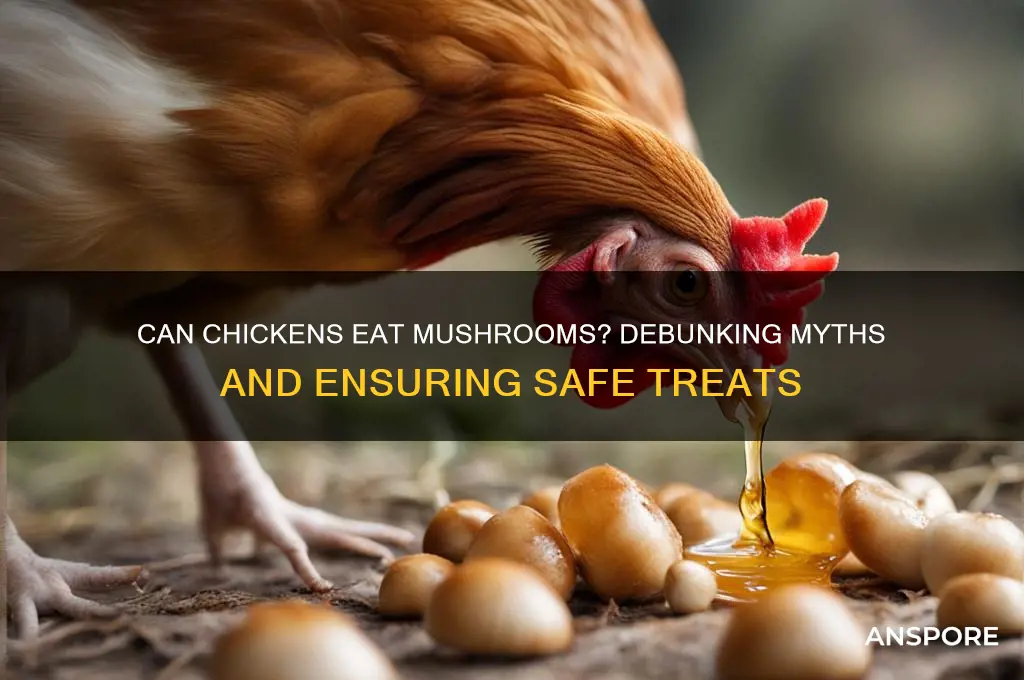 are mushrooms bad for chickens