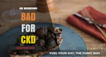 Mushrooms and CKD: Are They Safe for Kidney Health?