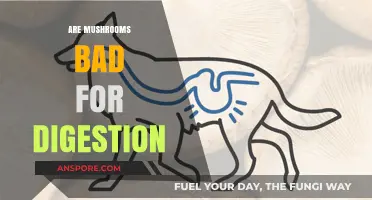 Mushrooms and Digestion: Debunking Myths for a Healthy Gut