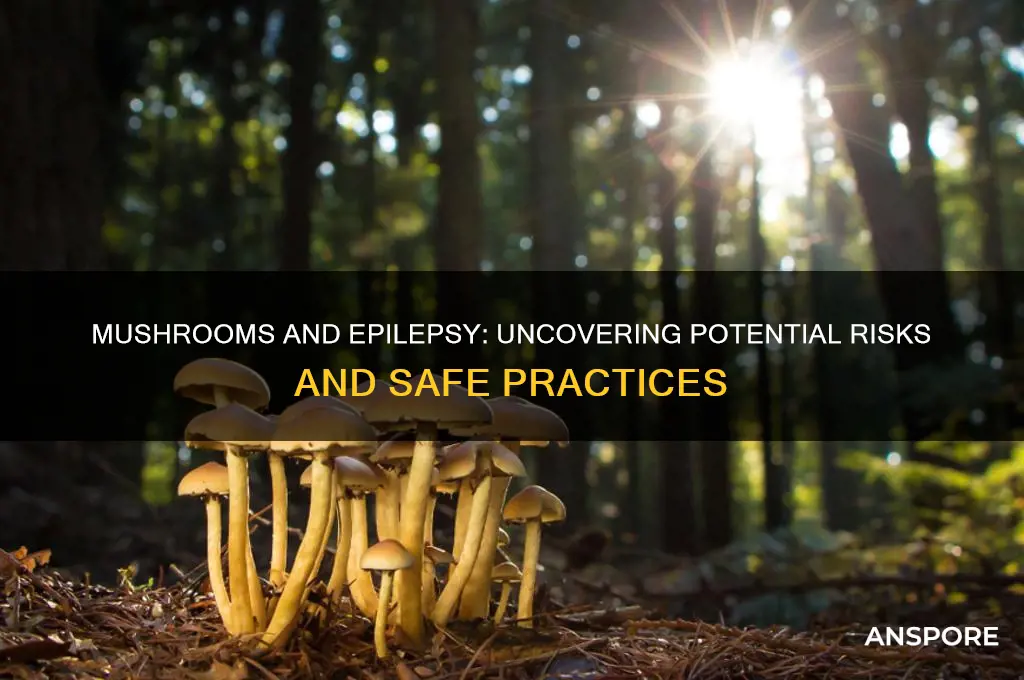 are mushrooms bad for epilepsy
