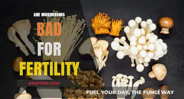 Mushrooms and Fertility: Debunking Myths and Understanding Their Impact