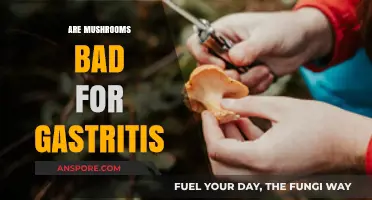 Mushrooms and Gastritis: Are They Safe or Harmful for Your Stomach?